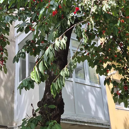 Rovine Apartament Craiova